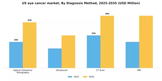 US Eye Cancer Market Segment Image 0