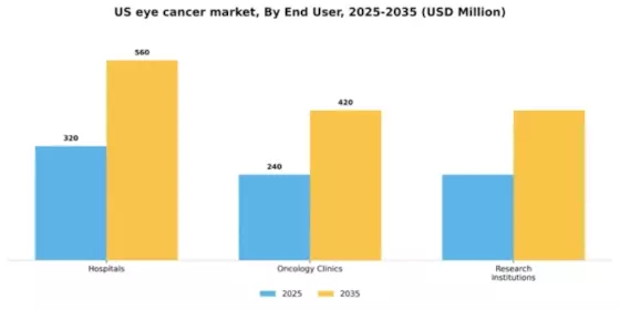 US Eye Cancer Market Segment Image 1