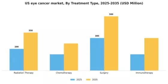 US Eye Cancer Market Segment Image 2