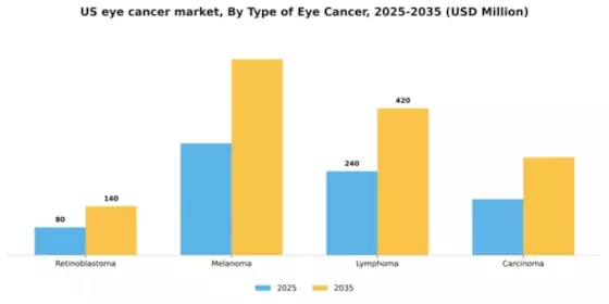US Eye Cancer Market Segment Image 3