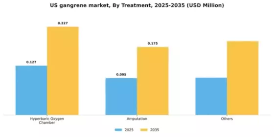 US Gangrene Market Segment Image 1