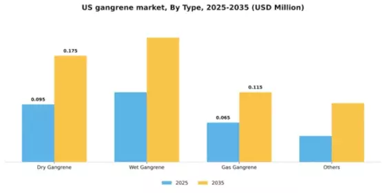 US Gangrene Market Segment Image 2