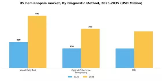 US Hemianopsia Market Segment Image 1