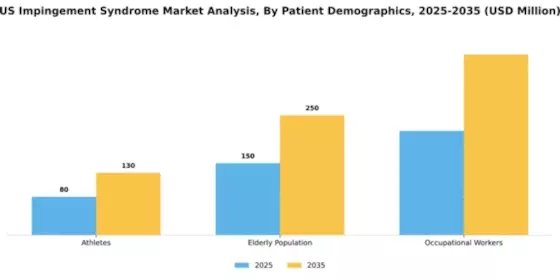 US Impingement Syndrome Market Segment Image 1