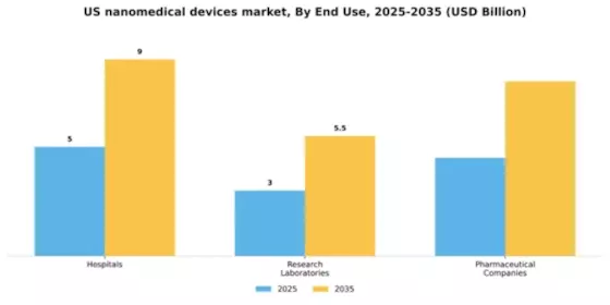 US Nanomedical Devices Market Segment Image 1