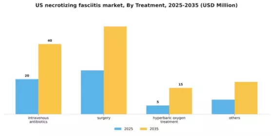 US Necrotizing Fasciitis Market Segment Image 1