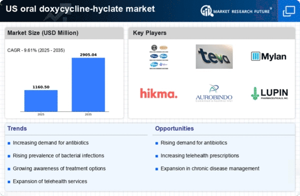 US Oral Doxycycline Hyclate Market Infographic
