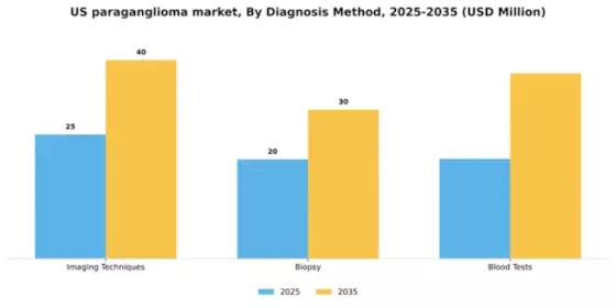 US Paraganglioma Market Segment Image 0