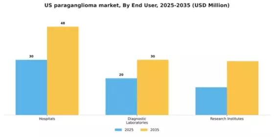 US Paraganglioma Market Segment Image 1