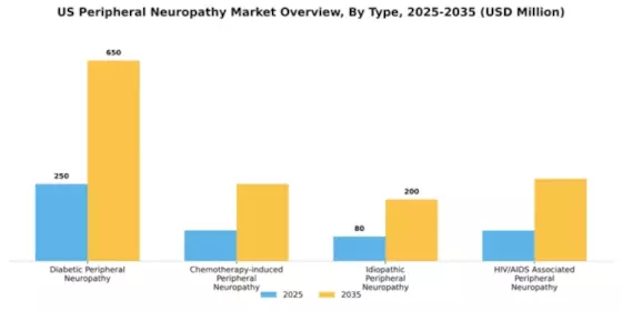 US Peripheral Neuropathy Market Segment Image 2