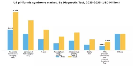 US Piriformis Syndrome Market Segment Image 1