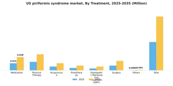 US Piriformis Syndrome Market Segment Image 4