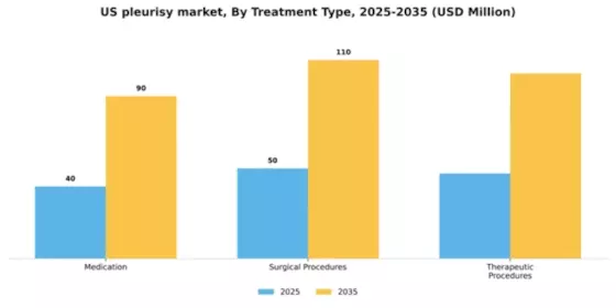 US Pleurisy Market Segment Image 2