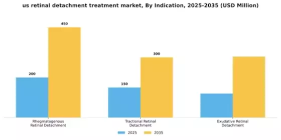 US Retinal Detachment treatment Market Segment Image 2