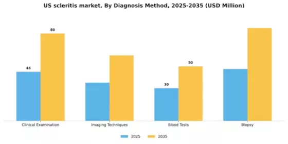 US Scleritis Market Segment Image 0