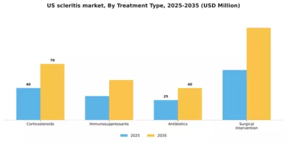 US Scleritis Market Segment Image 2