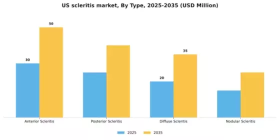 US Scleritis Market Segment Image 3
