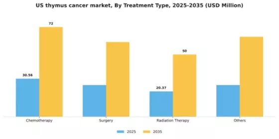 US Thymus Cancer Market Segment Image 1