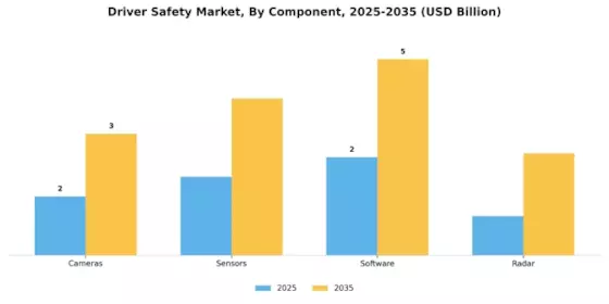 Driver Safety Market Segment Image 1