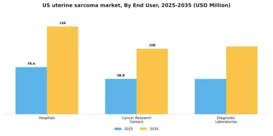 US Uterine Sarcoma Market Segment Image 1
