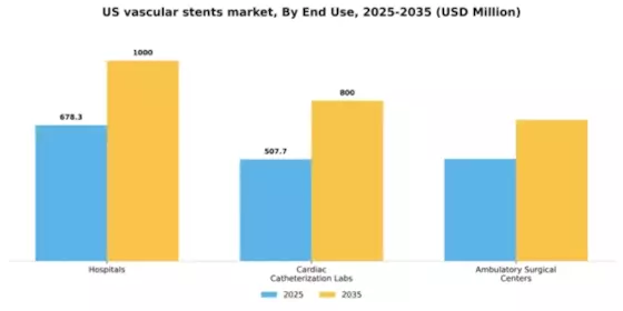 US  Vascular Stents Market Segment Image 1