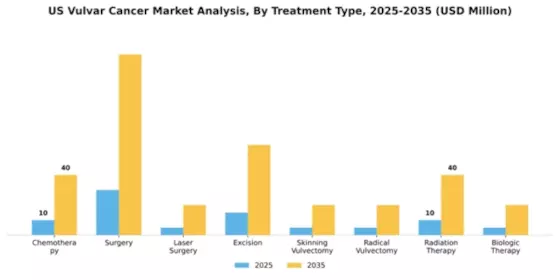 US Vulvar Cancer Market Segment Image 2