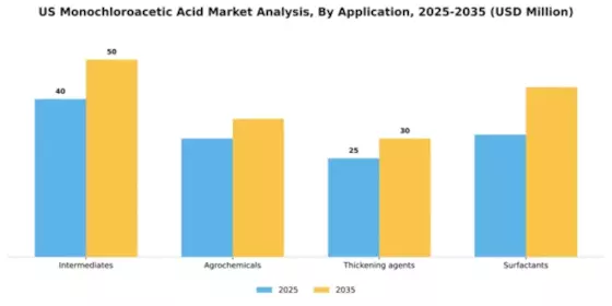 US Monochloroacetic Acid Market Segment Image 0