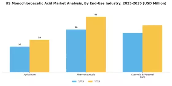 US Monochloroacetic Acid Market Segment Image 1