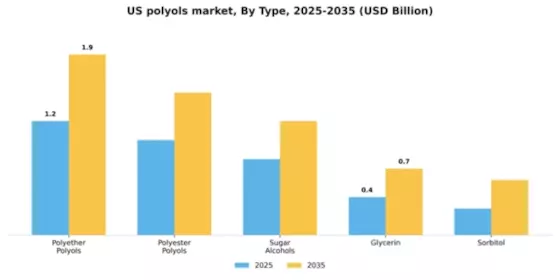 US Polyols Market Segment Image 4