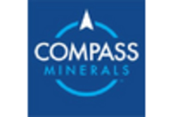 US Industrial Salts Market key player