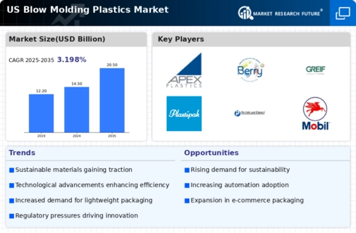 US Blow Molding Plastics Market Infographic