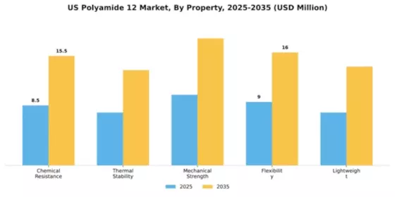 US Polyamide 12 Market  Segment Image 4