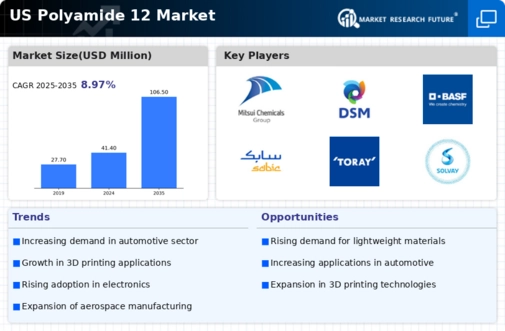 US Polyamide 12 Market  Infographic