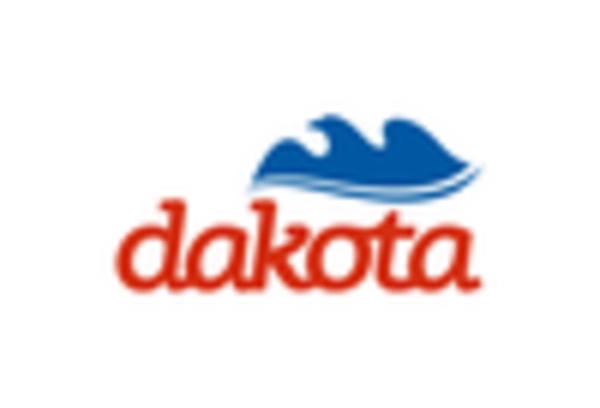 US Polyester Fiber Market  key player