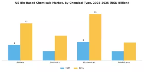 US Bio-Based Chemicals Market Segment Image 1