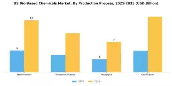 US Bio-Based Chemicals Market Segment Image 3