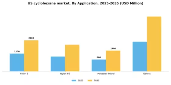 US Cyclohexane Market Segment Image 0