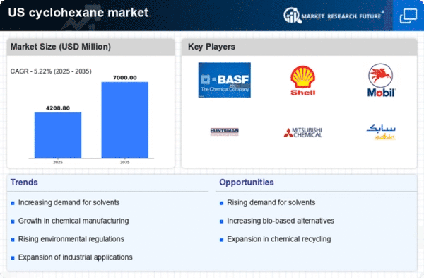 US Cyclohexane Market Infographic