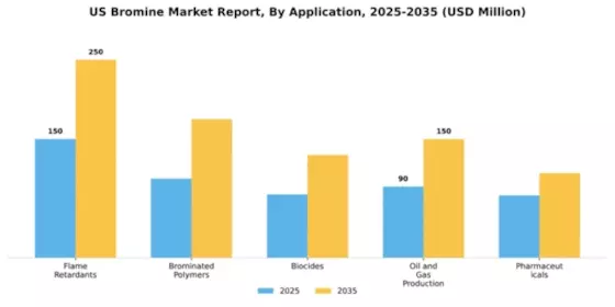 US Bromine Market Segment Image 0