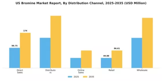 US Bromine Market Segment Image 1
