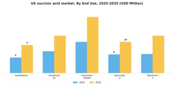 US Succinic Acid Market Segment Image 1