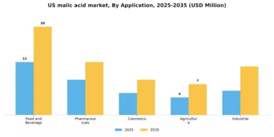 US Malic Acid Market Segment Image 0
