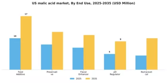 US Malic Acid Market Segment Image 1