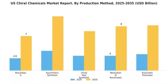 US Chiral Chemicals Market Segment Image 3