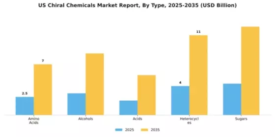 US Chiral Chemicals Market Segment Image 4