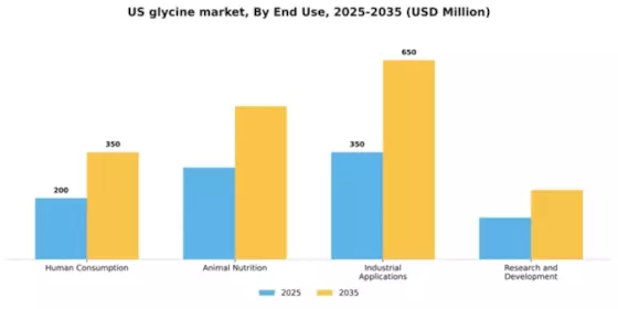 US Glycine Market Segment Image 1