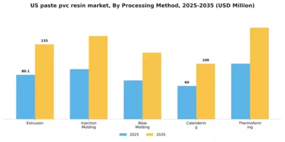 US Paste PVC Resin Market Segment Image 3