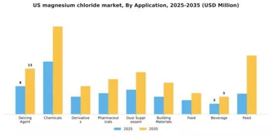 US Magnesium Chloride Market Segment Image 0