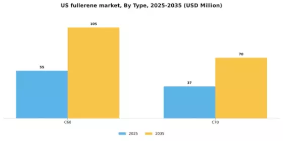 US Fullerene Market Segment Image 1