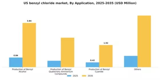 US Benzyl Chloride Market Segment Image 0